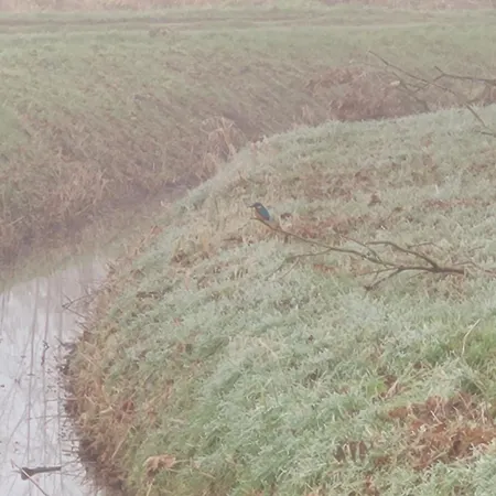 Garni Kastanjehoff Hotel 3*